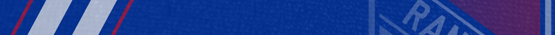 Team Banner